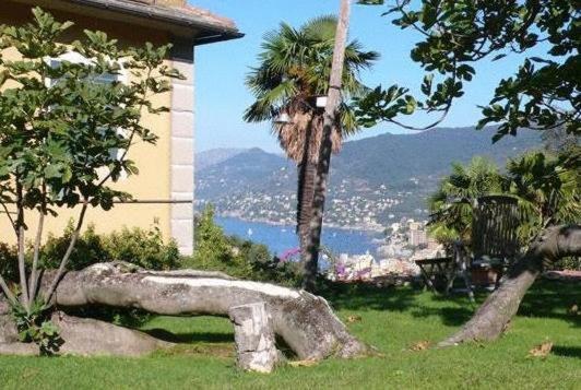 Villa Rosmarino Camogli Dış mekan fotoğraf
