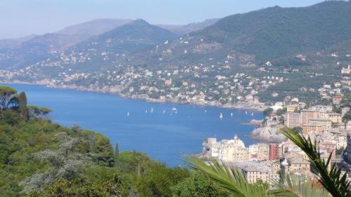 Villa Rosmarino Camogli Dış mekan fotoğraf