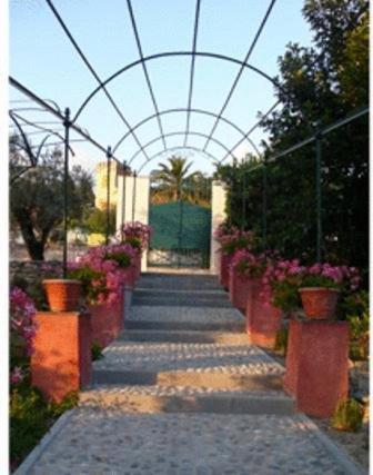 Villa Rosmarino Camogli Dış mekan fotoğraf